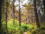 Point Reyes