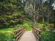 Point Reyes