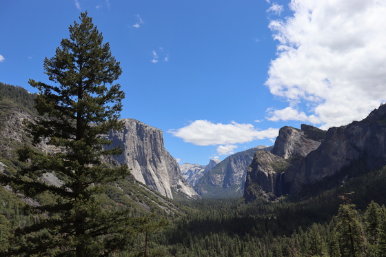 Yosemite National Park