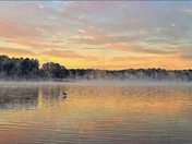 R Shafer Heard COE Campground
