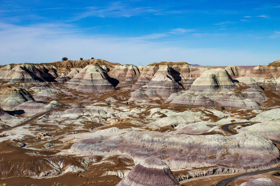 Petrified Forest National Park - Blue Mesa