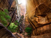 The Narrows, Zion National Park 