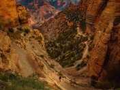 Grand Canyon National Park 