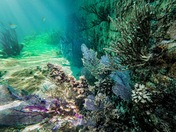 Dry Tortugas National Park