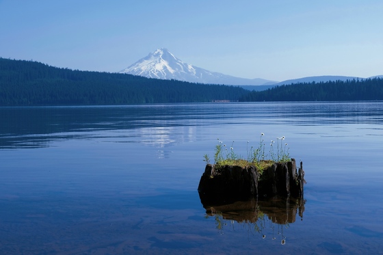 Mount Hood National Forest 