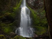 Olympic National Park