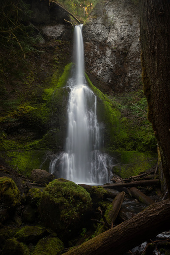 Olympic National Park