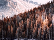 Rocky Mountain National Park