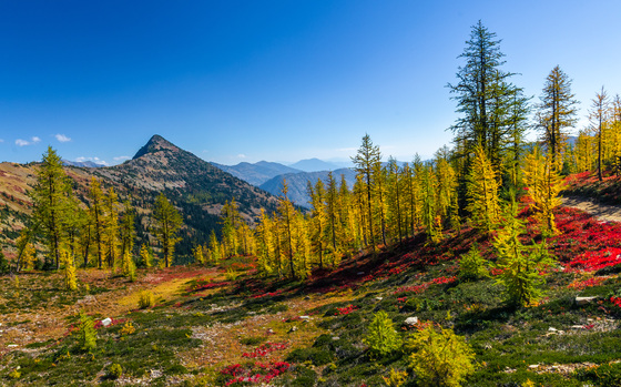Pasayten Wilderness