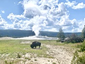 Yellowstone National Park