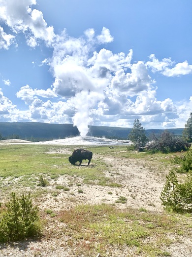 Yellowstone National Park