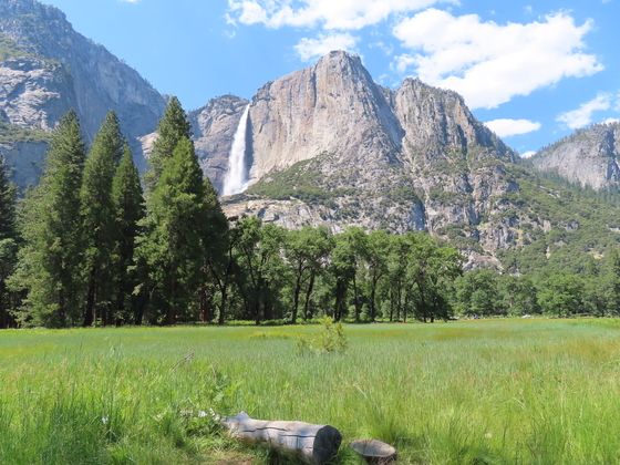 Yosemite National Park