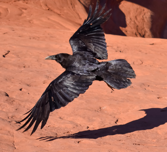 Arches National Park