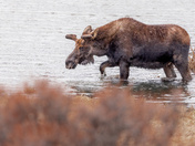 Rocky Mountain National Park