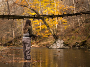 Monongahela National Forrest