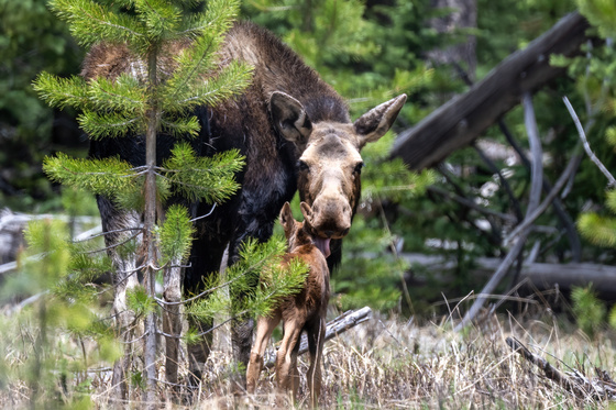 Rocky Mountain National Park