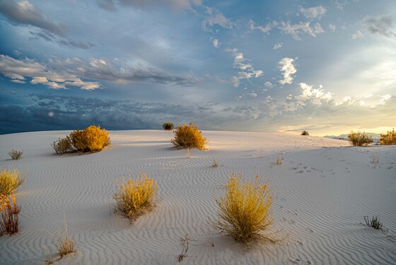 White Sands National Park 