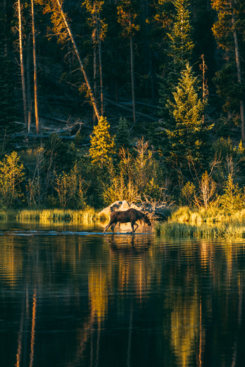 Rocky Mountain National Park
