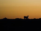 Badlands National Park