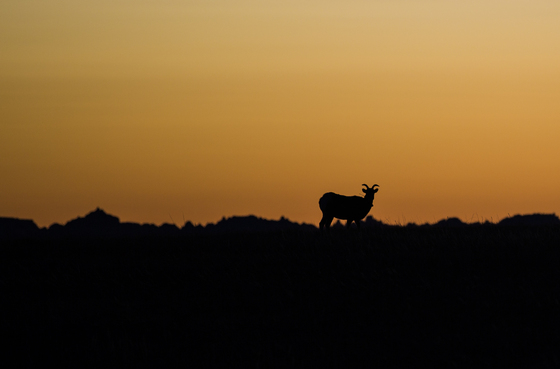 Badlands National Park