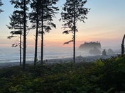 Olympic National park