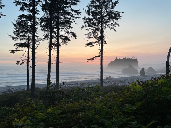 Olympic National park