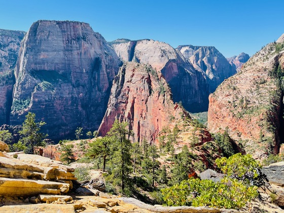 Zion National Park 