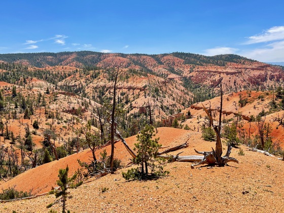 Bryce Canyon National Park 