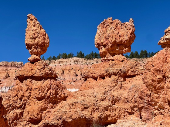 Bryce Canyon National Park 