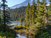 Mount Rainier National Park