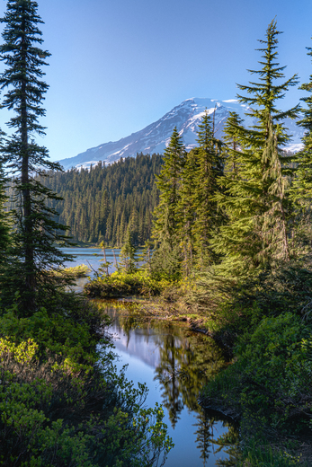Mount Rainier National Park