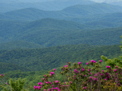Blue Ridge Parkway