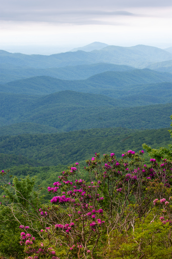Blue Ridge Parkway