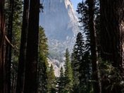 Yosemite National Park