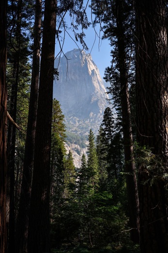 Yosemite National Park
