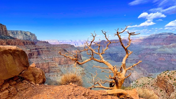 Grand Canyon National Park