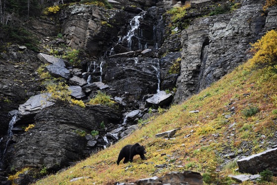 Glacier National Park