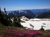 Mount Rainier National Park