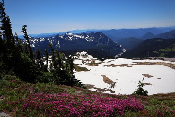 Mount Rainier National Park