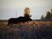 Grand Teton National Park
