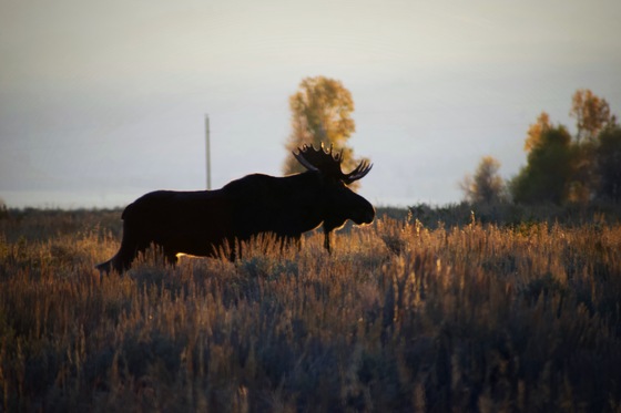 Grand Teton National Park