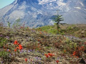 Mount St Helens National Volcanic Monument