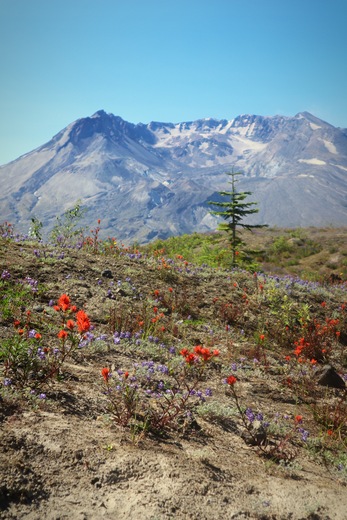 Mount St Helens National Volcanic Monument