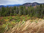 White Mountains National Forest