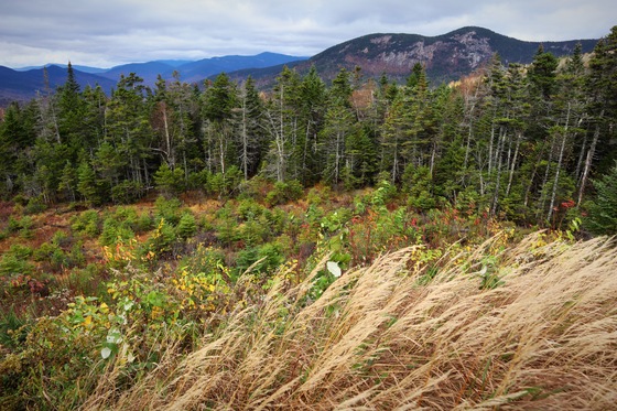 White Mountains National Forest