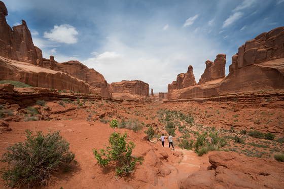 Arches National Park