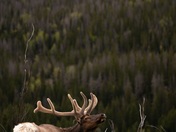 Rocky Mountain National Park