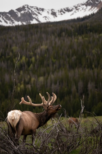 Rocky Mountain National Park
