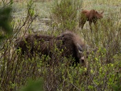 Rocky Mountain National Park