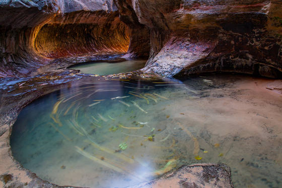 Subway Zion  National Park